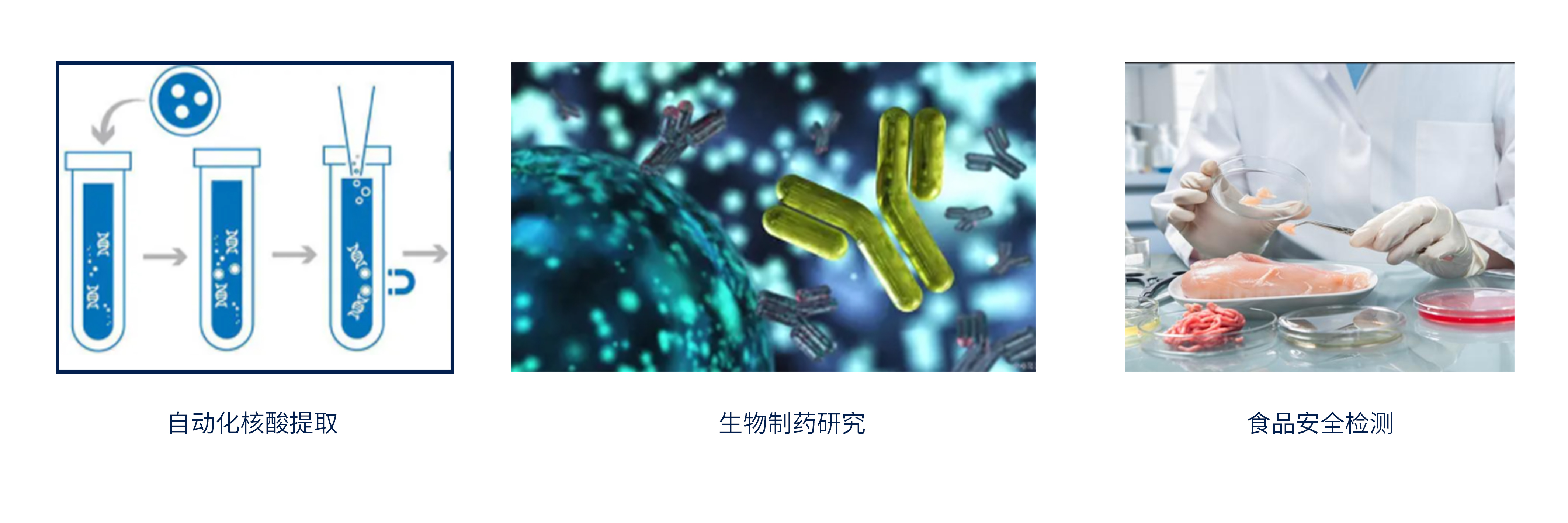 多功能智能快速配液仪
